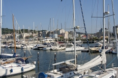Cattolica